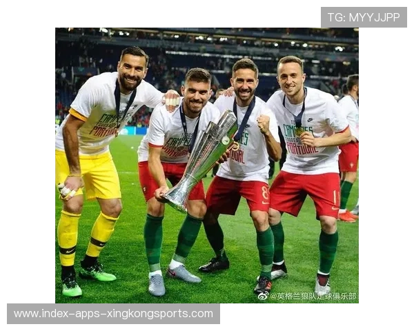 英超俱乐部粉丝研究成果推动精准营销升级